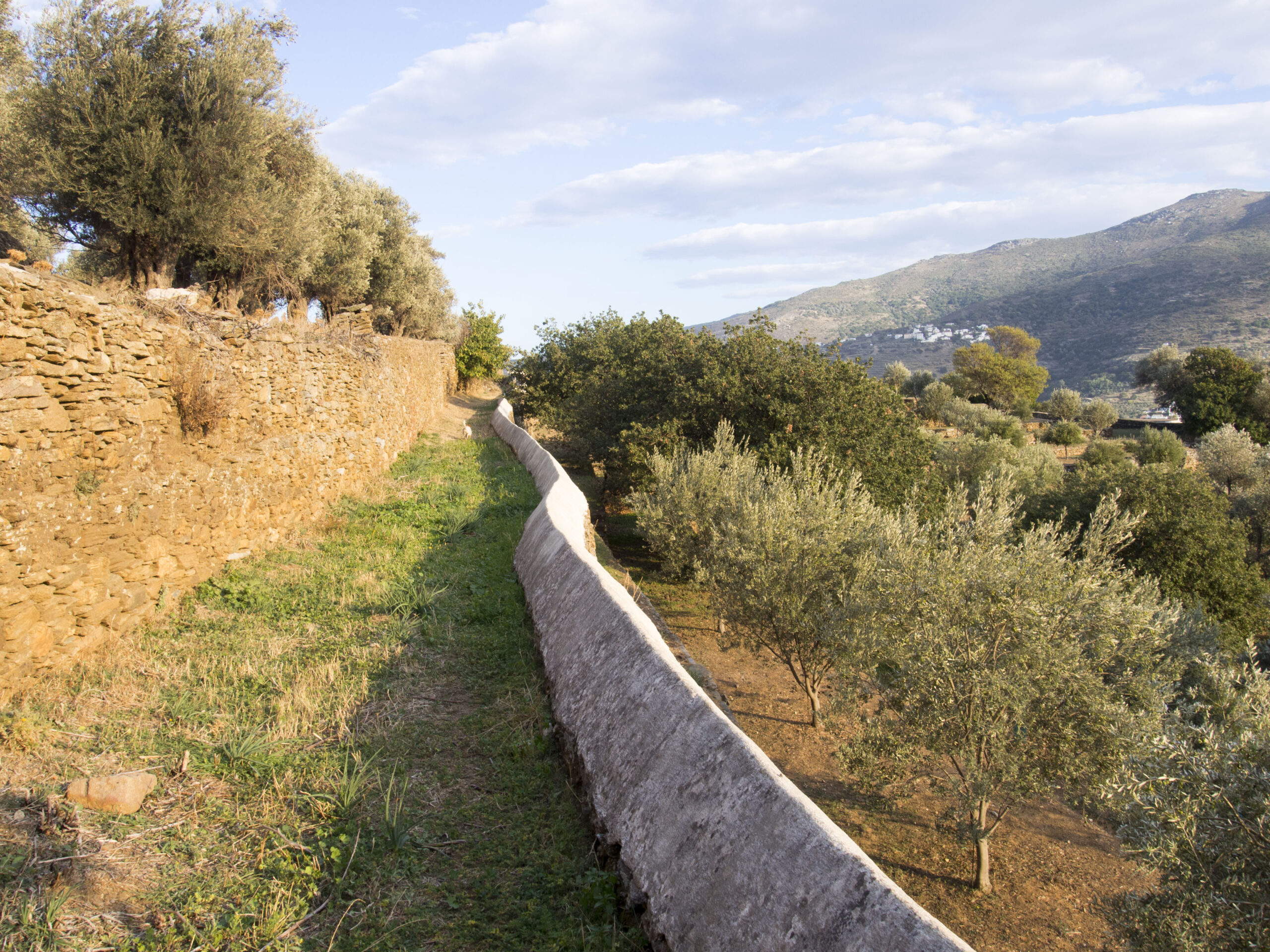 Stone wall beside olive trees on The valley of water between Chora and Apikia