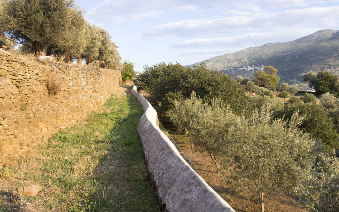 Guide to the Chora and Apikia Circular Hiking Routes