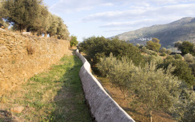 Guide to the Chora and Apikia Circular Hiking Routes